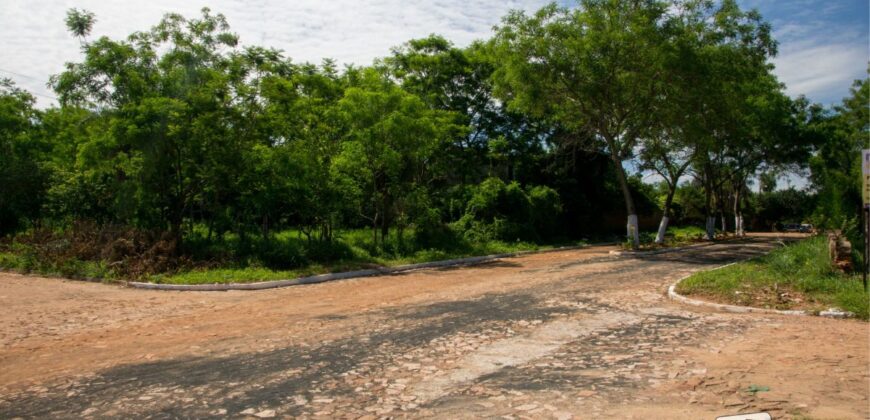 0695 TERRENO EN LUQUE, ZONA MUNICIPALIDAD