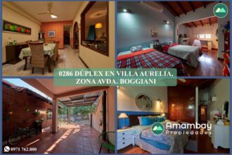 0286 DÚPLEX EN BARRIO VILLA AURELIA, ZONA AVDA. BOGGIANI