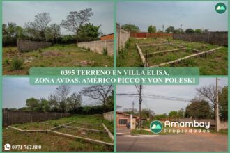 0395 TERRENO EN VILLA ELISA, ZONA AVDAS. AMÉRICO PICCO Y VON POLIESKI