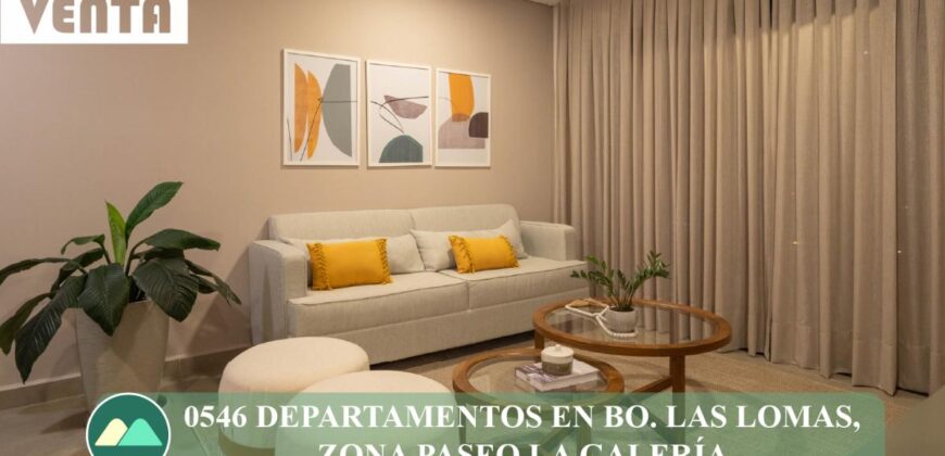 0546 DEPARTAMENTO EN Bo. LAS LOMAS, ZONA PASEO LA GALERÍA